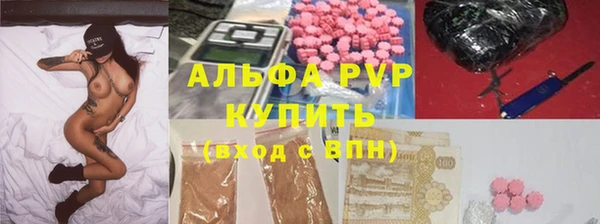 первитин Богданович
