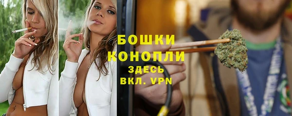 тгк Богородск