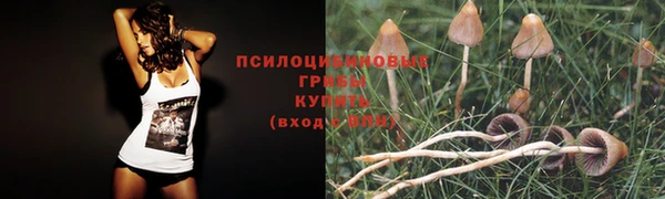 первитин Богданович