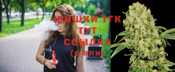 первитин Богданович