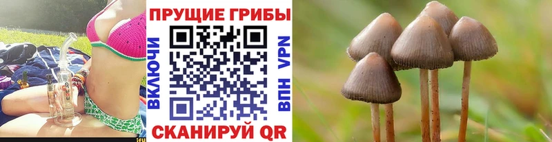 цена Маркс Псилоцибиновые грибы ЛСД