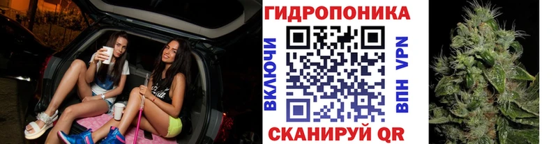 Конопля MAZAR  закладки  Маркс 